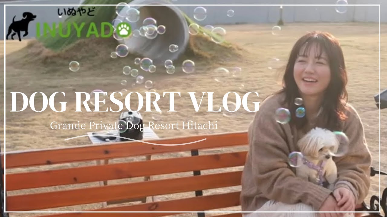 いぬやどさんの取材で、愛犬と泊まれるホテルご紹介！