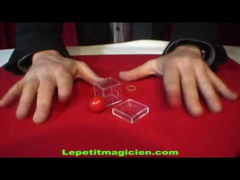 Voir la vidéo Quo Vadis