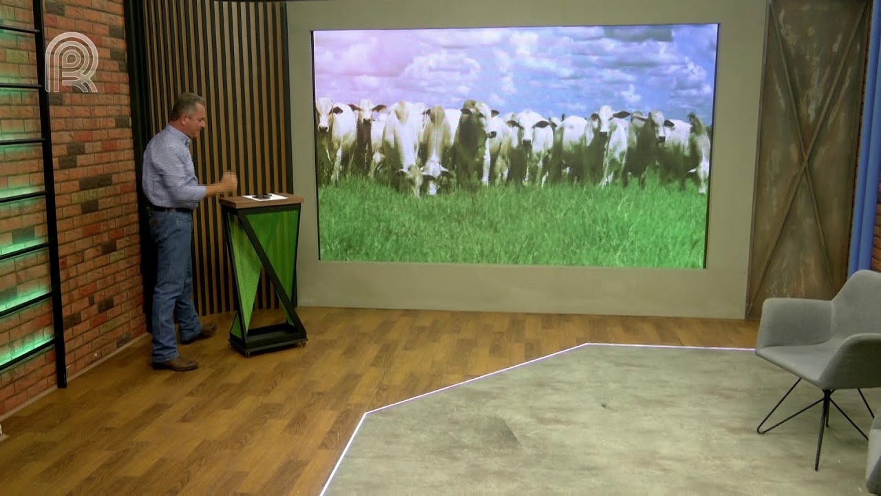 SEGREDOS DO MANEJO DE PASTAGENS: O IMPACTO DECISIVO NA PECUÁRIA BRASILEIRA