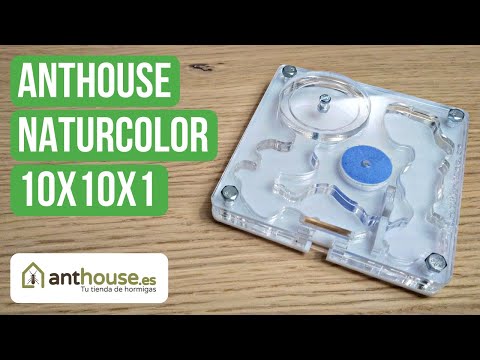Recensione del Nido Acrilico NaturColor 10x10x1 di Anthouse