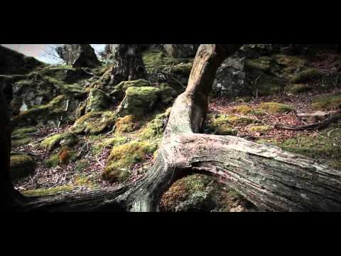 Stefano Guzzetti. Shoreline