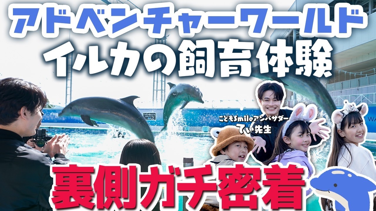 【密着】イルカ飼育体験が楽しすぎた！【てぃ先生】