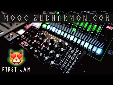Creating a House Track in 5 min w/the Moog Subharmonicon [First Jam w/ Roland TR-8 + Korg Monologue]