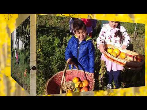 OUTDOOR EDUCATION ALLA SCOPERTA DELL'AUTUNNO  SCUOLA DELL'INFANZIA DI AIETA   19 OTTOBRE 2022