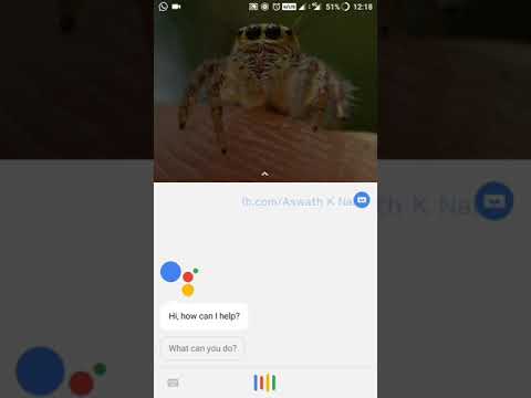 Google Assistant Lulluby. Turn OFF GA to Watch this