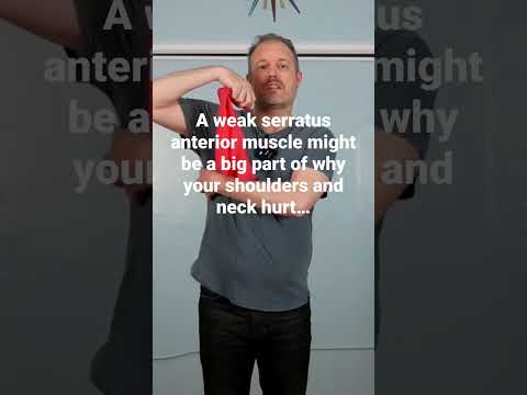 What is your serratus anterior and how does it relate to your #shoulderpain #correctiveexercise #nyc