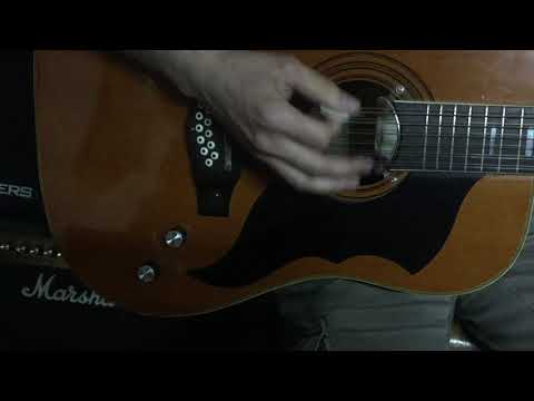 Eko Ranger XII Corde Chitarra Acustica 12 Electra Elettrificata Vintage