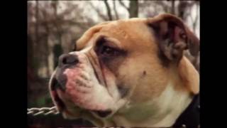 Avelino - Energy Feat. Stormzy & Skepta [WiDE AWAKE Remix]