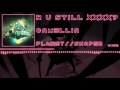 「Breakcore」[Camellia] R U Still xxxx? 