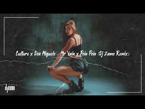 Culture x Don Miguelo - Mr Vain x Poin Poin (DJ Zamo Remix)