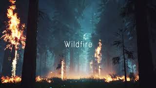 Wildfire - Frank Ocean