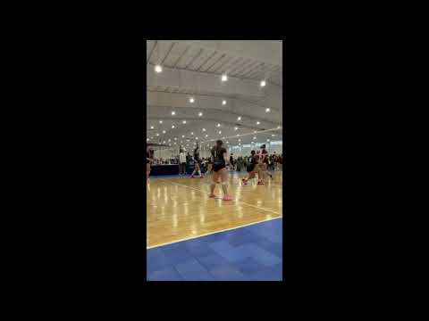 Primary Highlight Reel