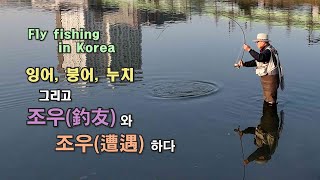 2024 fly fishing EP2 - 조우(釣友)와 조우(遭遇)하다. (잉어 플라이 낚시)