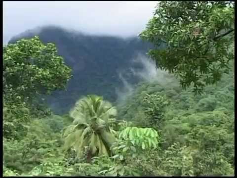 Dr.M.Balamuralikrishna - Bhajan - Kaiwara Amara Nareyana with Prince Rama Varma on the Veena