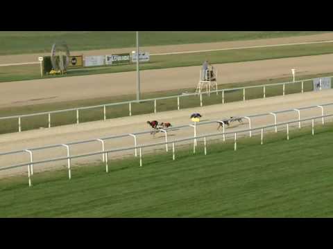 2017.07.23. 10. futam - Agár