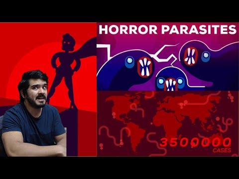 The Most Gruesome Parasites – Neglected Tropical Diseases – NTDs (Kurzgesagt) CG Reaction