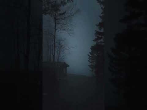 Lil Matrix - Karoline Carol II (Clip Officiel)