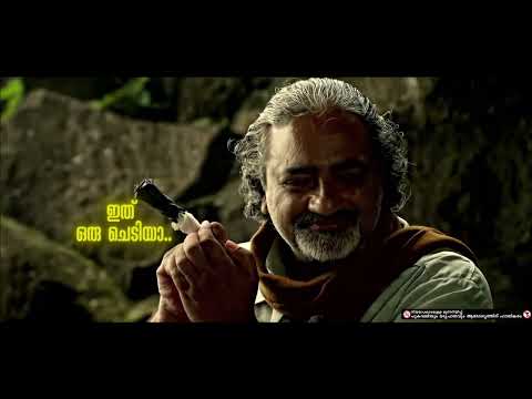 introduction to marijuana idukki gold scene #idukkigold #marijuana