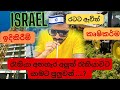 Changing Jobs In Isreal ඊශ්‍රාලයේ රැකියාව වෙනස් කිර�