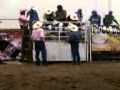 Fiebre De Rodeo