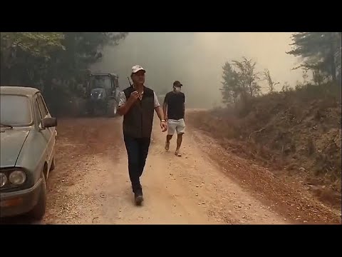 Hundreds mobilised as fires spread in Turkey’s tourist hotspot Muğla