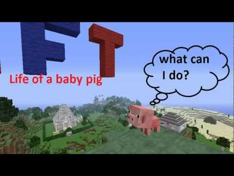 Life of a baby pig (TheBedRockMovies)