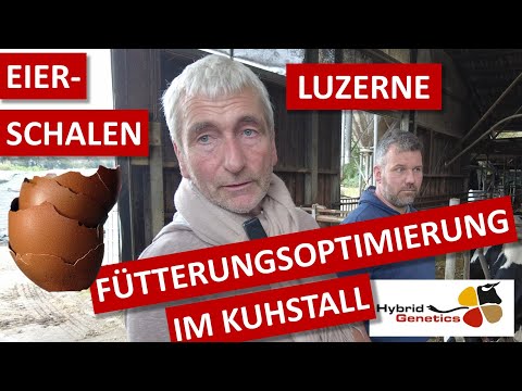 Alfalfa, Eggshells & Leinsat: How Ludwig Gülker Rethinks Dairy Feeding