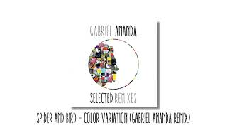 Spider & Bird - Color Variation (Gabriel Ananda Remix) | Soulful Techno Records 2017