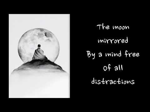 Zen Master Dogen  道元  ~ 𝐍𝐨 𝐓𝐫𝐚𝐜𝐞𝐬 ~ Zen Buddhism