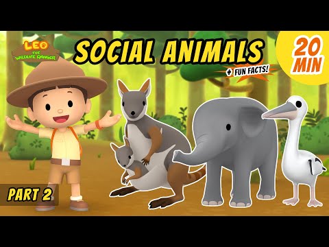 Witness21 Editor  2021 05 13