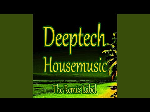 Deeptech Housemusic (WEmixer DeejayFriendly Dub Techno Meets Deep Acid House Music DJ Mix)