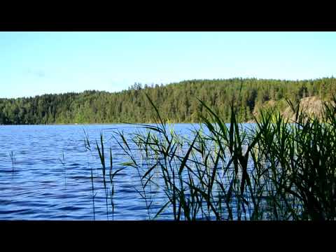 15 MINUTES FLOWING WATER - Relaxing Nature Sounds