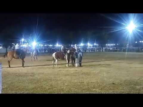 papino Montenegro # fortín inca Santiago del estero # 1ro en basto