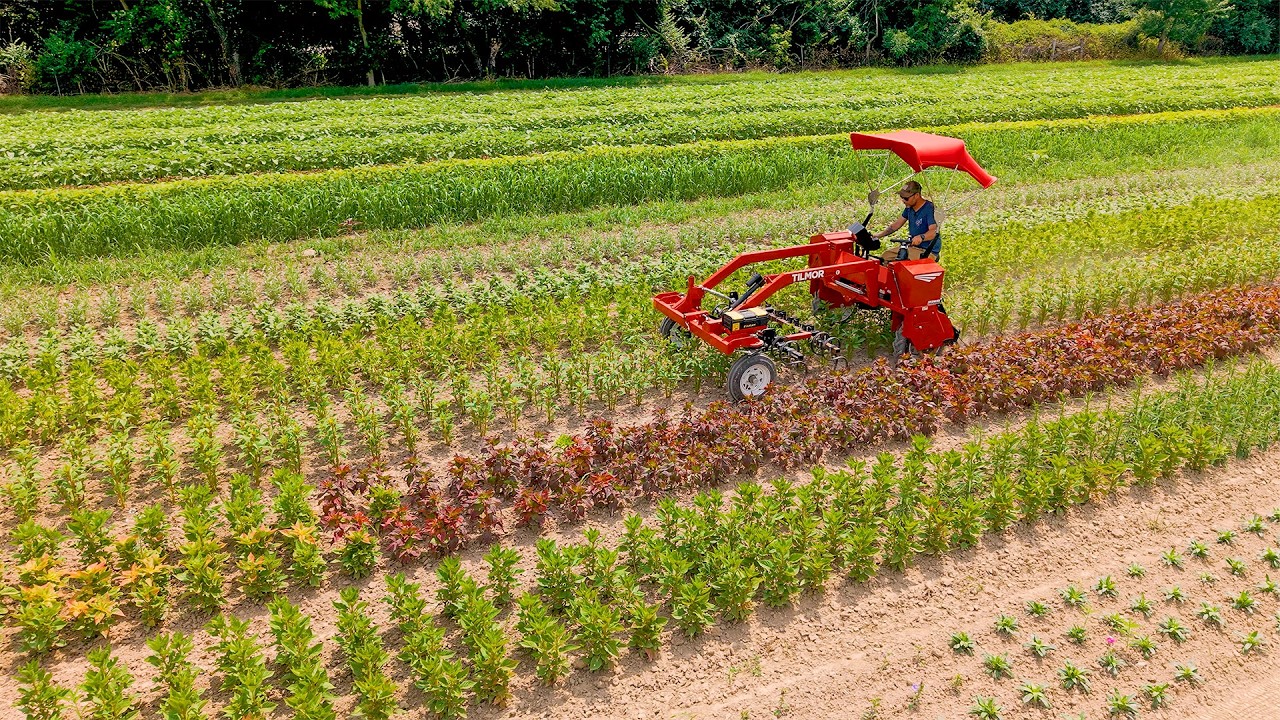Farming Flowers With The Tilmor Super E: First Impressions