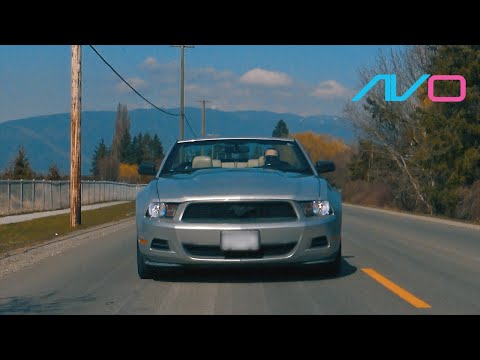 Buzz The Tower | Ford Mustang V6