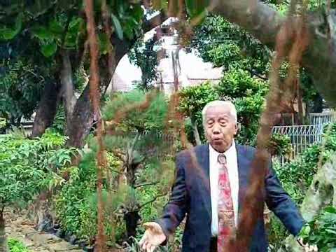 Kr. Bersenandung oleh Slamet Ariyanto