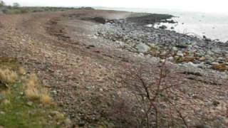 preview picture of video 'Öllöv strand - at Öllöv beach'