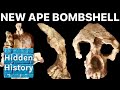 New Ancient Ape From Turkey Challenges Out Of Africa Theory Of Human Origins