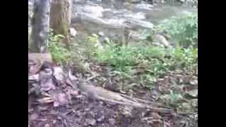 Hut PMS Jaranguda (KAM TEKU JADI - Ruslan Sinurat) Download