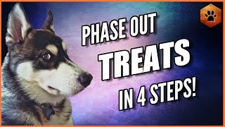 How to Phase Out Treats and Fade Lures - Get Your Dog to Lis