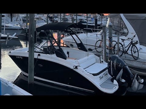 Sea Ray 270 SDX-OB video