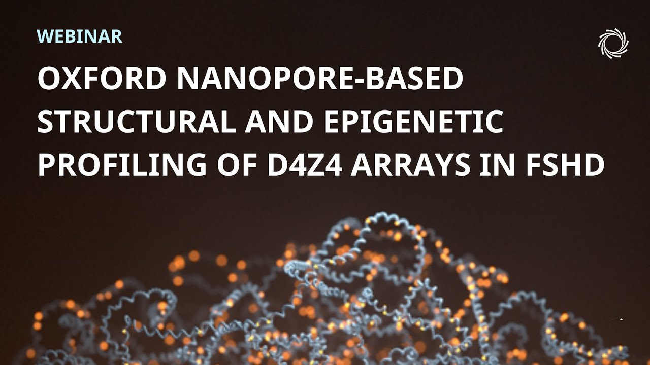 Oxford Nanopore-based structural and epigenetic profiling of D4Z4 arrays in FSHD