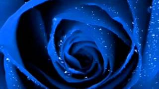 TE NECESITO  LUIS MIGUEL