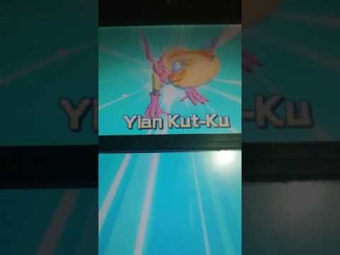 Schiudo 12 uova con voi!