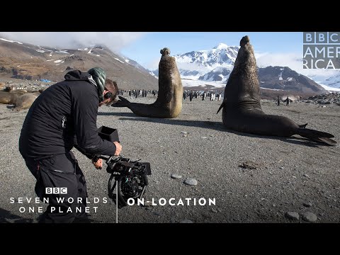 オンロケ｜Seven Worlds, One Planet｜土曜午後9時～｜BBCアメリカ (On-Location | Seven Worlds, One Planet | Saturdays at 9pm | BBC America)
