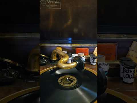 I'm Coming, Virginia - Jules Herbuveaux his Orchestra Brunswick Records #3606 1927 (TNTN)