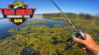 My first ever BAM Kayak Tournament