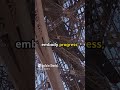 Eiffel Tower  A Hidden Message in Steel