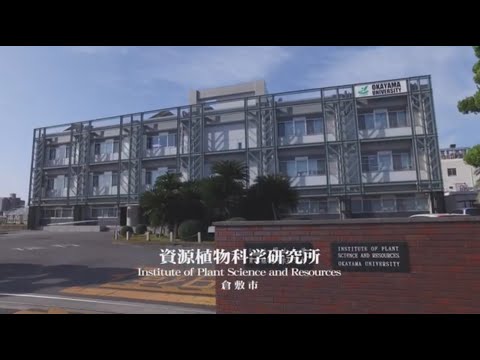 岡山大学　空撮イメージ映像　倉敷地区