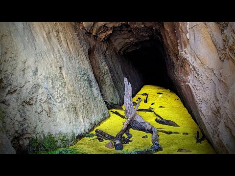 Vibrasphere Mix (Progressive Trance / Psytrance)